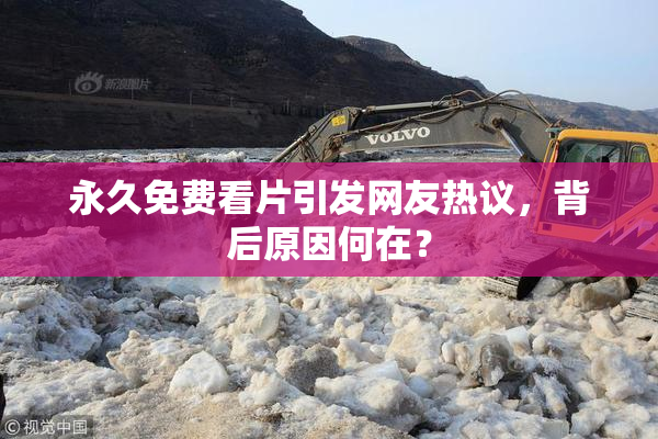永久免费看片引发网友热议，背后原因何在？