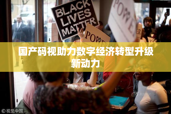 国产码视助力数字经济转型升级新动力