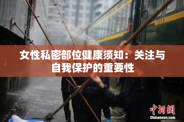 女性私密部位健康须知：关注与自我保护的重要性