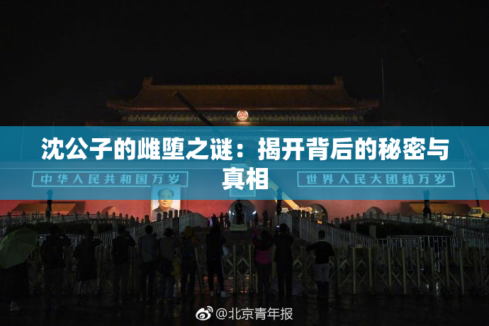 沈公子的雌堕之谜：揭开背后的秘密与真相