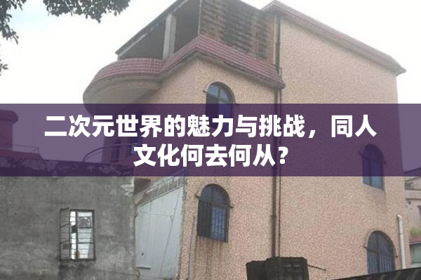 二次元世界的魅力与挑战，同人文化何去何从？