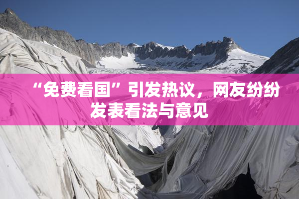 “免费看国”引发热议，网友纷纷发表看法与意见