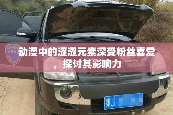 动漫中的涩涩元素深受粉丝喜爱，探讨其影响力