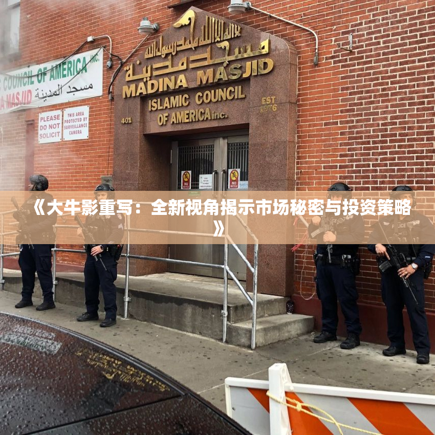 《大牛影重写：全新视角揭示市场秘密与投资策略》