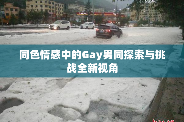 同色情感中的Gay男同探索与挑战全新视角