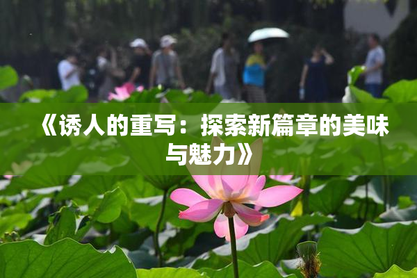《诱人的重写：探索新篇章的美味与魅力》