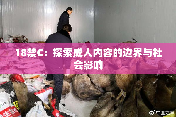 18禁C：探索成人内容的边界与社会影响