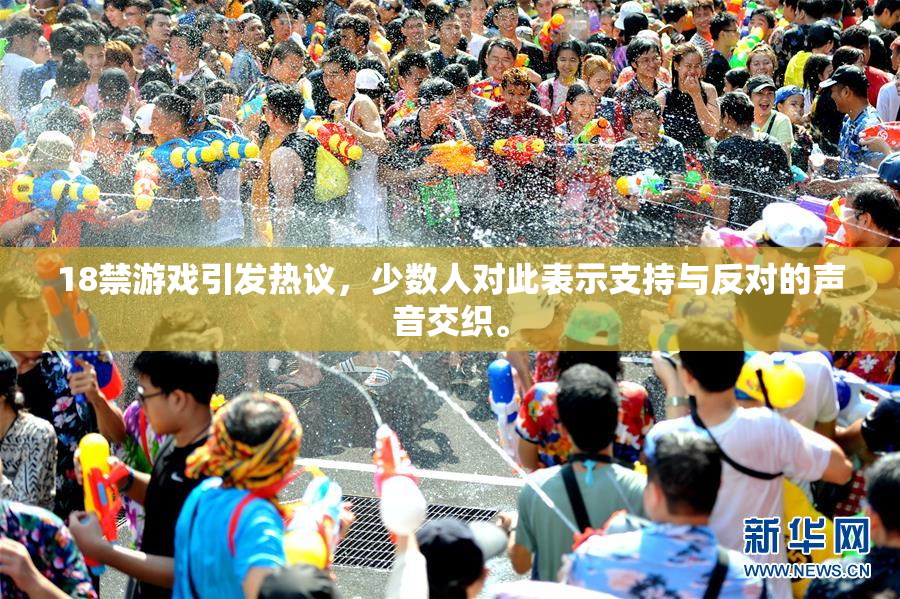 18禁游戏引发热议，少数人对此表示支持与反对的声音交织。