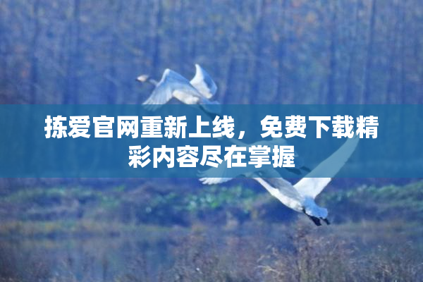 拣爱官网重新上线，免费下载精彩内容尽在掌握