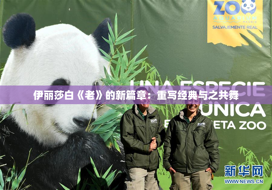 伊丽莎白《老》的新篇章：重写经典与之共舞