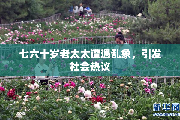 七六十岁老太太遭遇乱象，引发社会热议