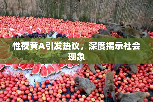 性夜黄A引发热议，深度揭示社会现象