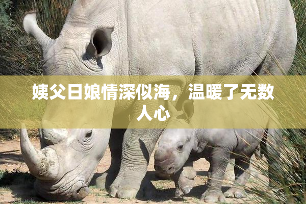 姨父日娘情深似海，温暖了无数人心