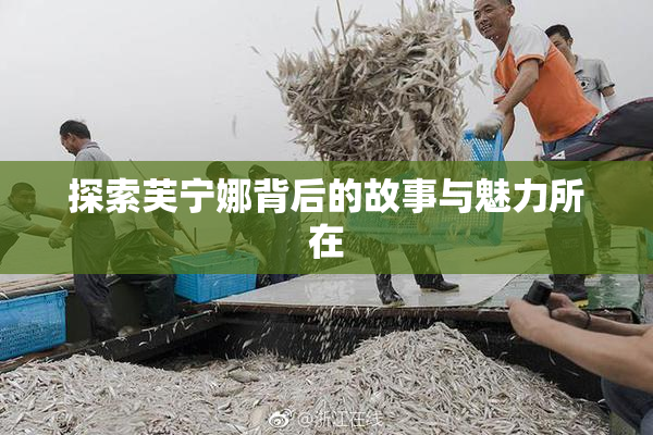 探索芙宁娜背后的故事与魅力所在