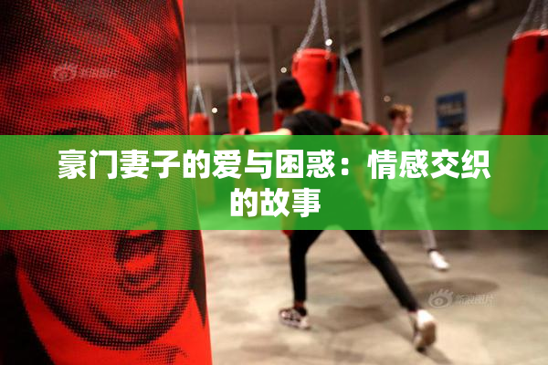 豪门妻子的爱与困惑：情感交织的故事