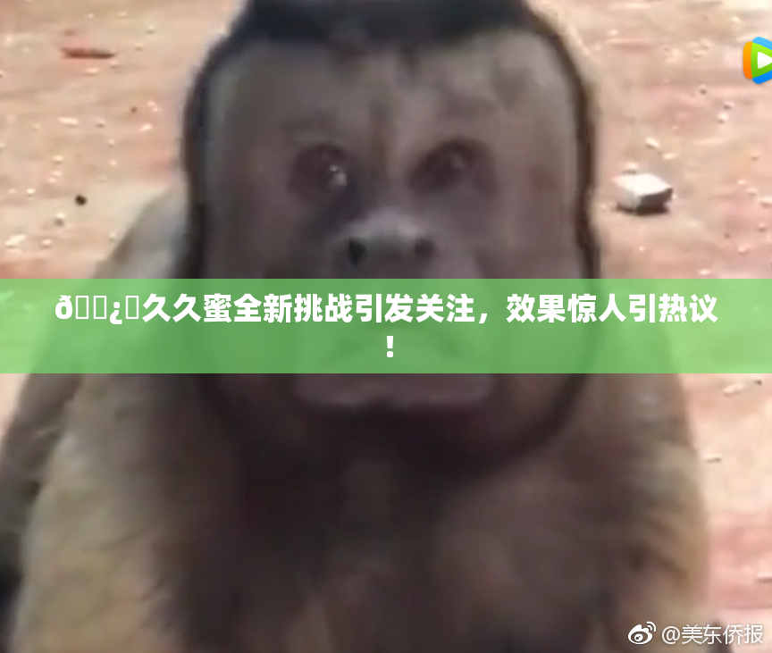 🌿‌久久蜜全新挑战引发关注，效果惊人引热议！