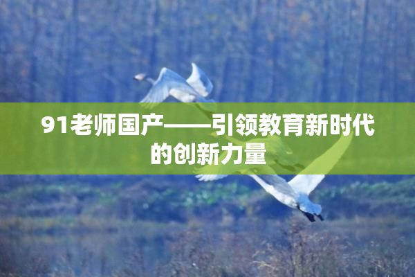 91老师国产——引领教育新时代的创新力量
