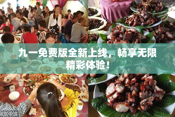 九一免费版全新上线，畅享无限精彩体验！