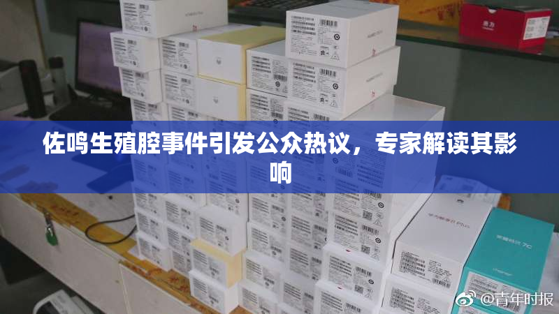 佐鸣生殖腔事件引发公众热议，专家解读其影响