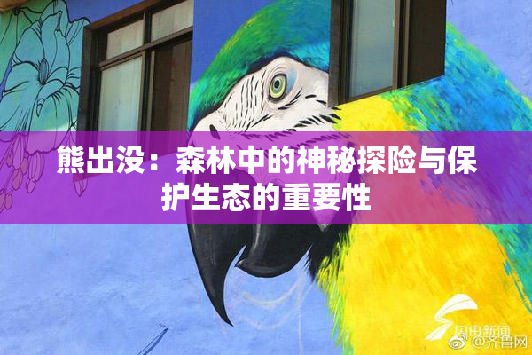 熊出没：森林中的神秘探险与保护生态的重要性