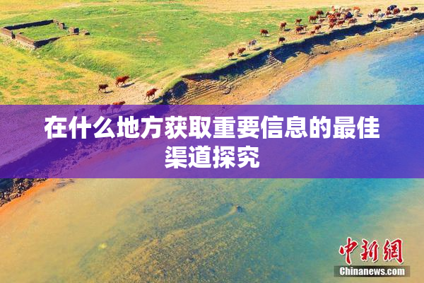 在什么地方获取重要信息的最佳渠道探究