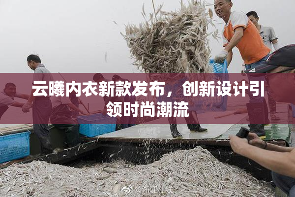 云曦内衣新款发布，创新设计引领时尚潮流