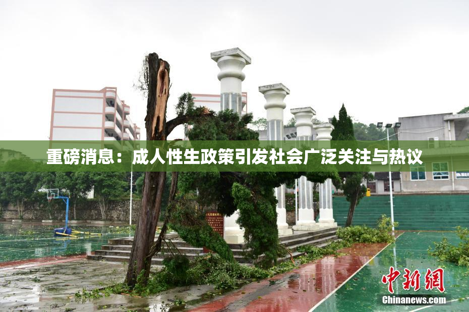 重磅消息：成人性生政策引发社会广泛关注与热议