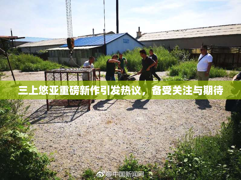 三上悠亚重磅新作引发热议，备受关注与期待
