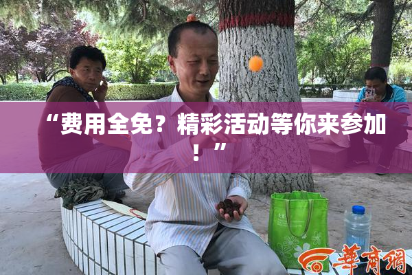 “费用全免？精彩活动等你来参加！”