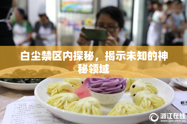 白尘禁区内探秘，揭示未知的神秘领域