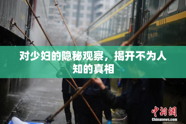 对少妇的隐秘观察，揭开不为人知的真相
