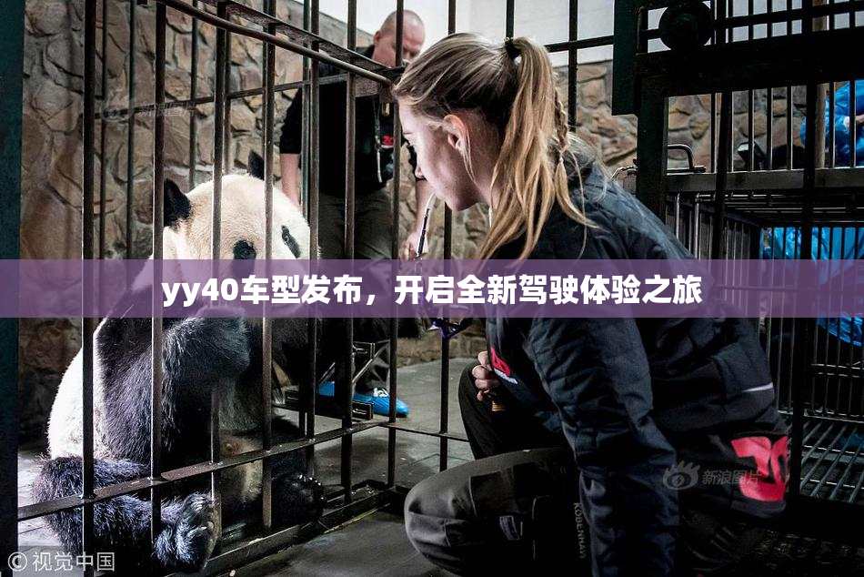 yy40车型发布，开启全新驾驶体验之旅