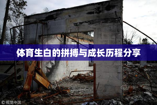 体育生白的拼搏与成长历程分享