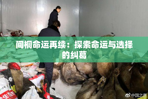 间桐命运再续：探索命运与选择的纠葛