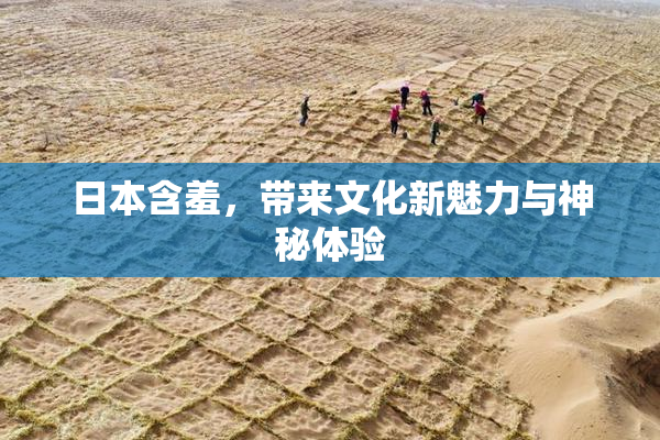 日本含羞，带来文化新魅力与神秘体验