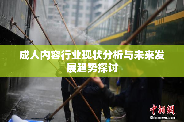 成人内容行业现状分析与未来发展趋势探讨