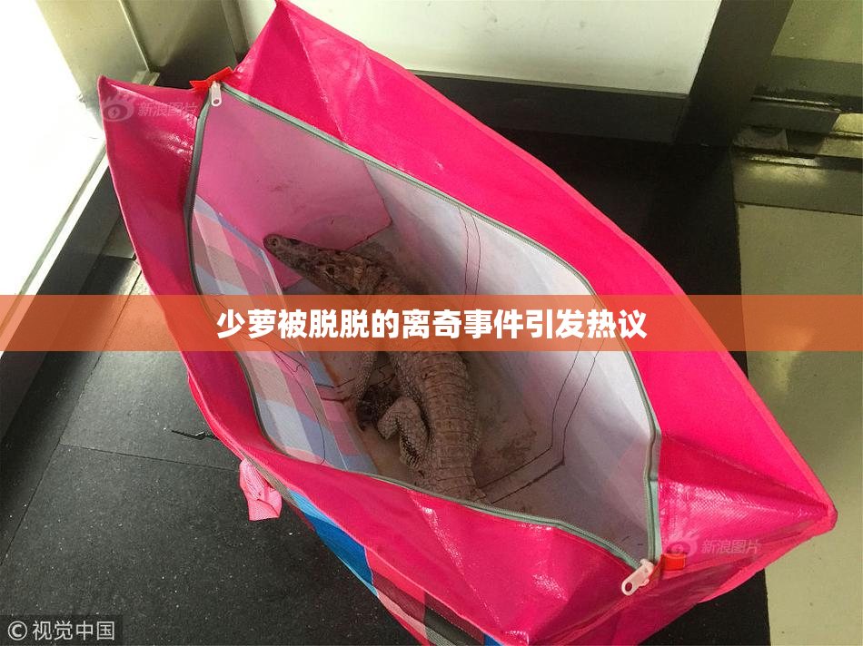 少萝被脱脱的离奇事件引发热议