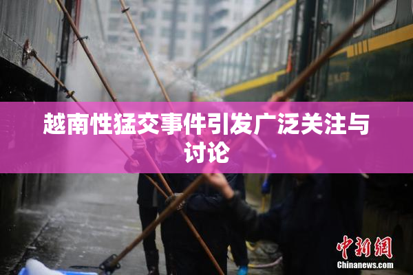 越南性猛交事件引发广泛关注与讨论