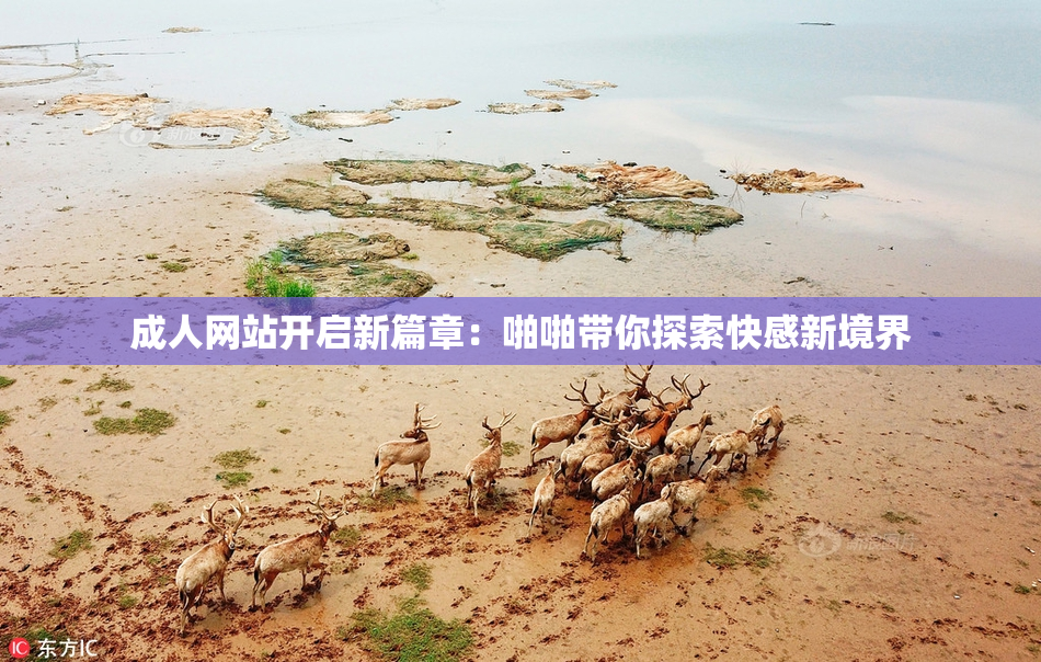 成人网站开启新篇章：啪啪带你探索快感新境界