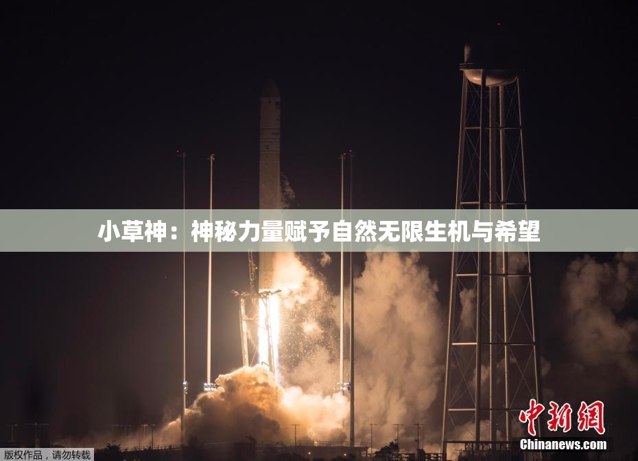 小草神：神秘力量赋予自然无限生机与希望