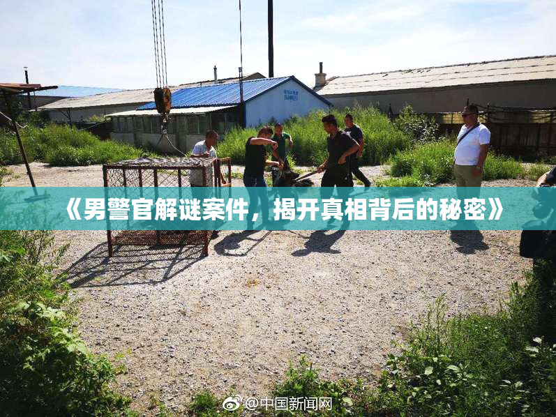 《男警官解谜案件，揭开真相背后的秘密》