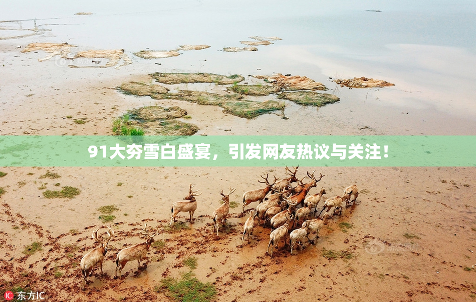 91大夯雪白盛宴，引发网友热议与关注！
