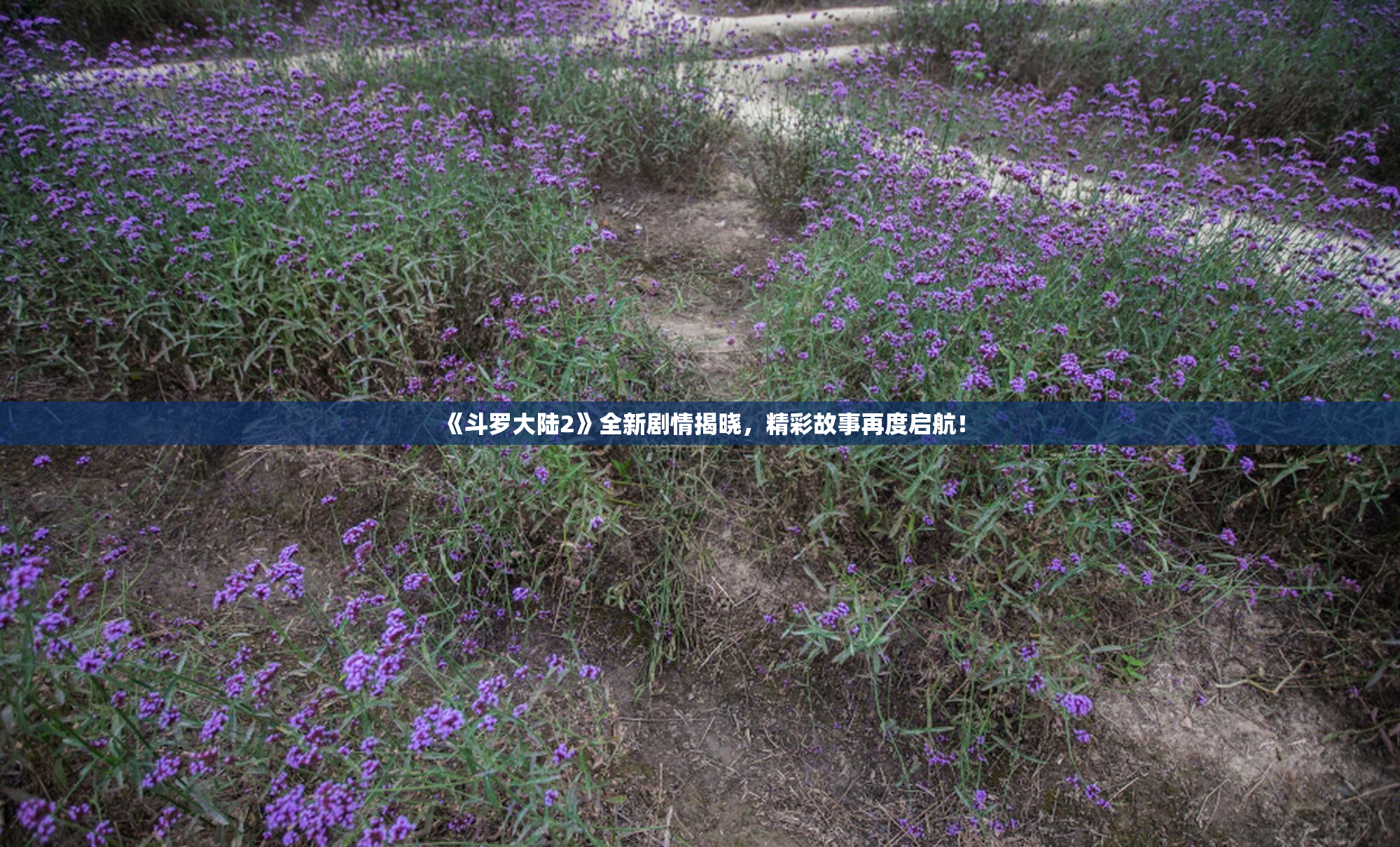 《斗罗大陆2》全新剧情揭晓，精彩故事再度启航！