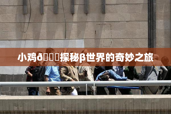小鸡🐔探秘β世界的奇妙之旅