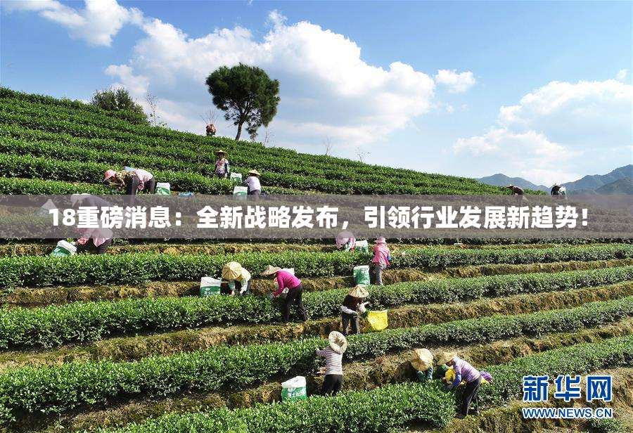 18重磅消息：全新战略发布，引领行业发展新趋势！
