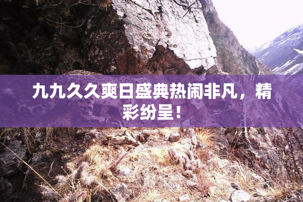 九九久久爽日盛典热闹非凡，精彩纷呈！