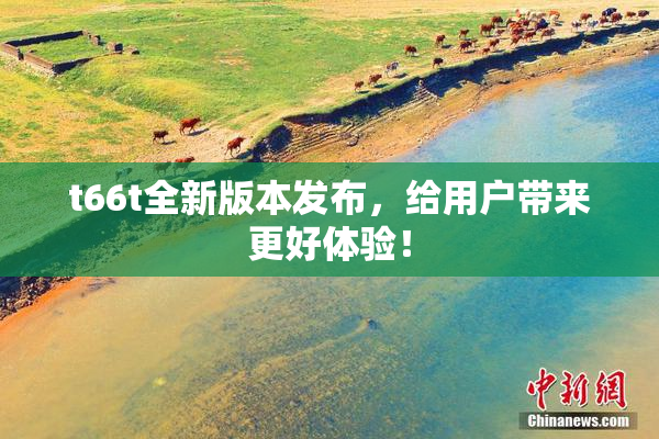 t66t全新版本发布，给用户带来更好体验！