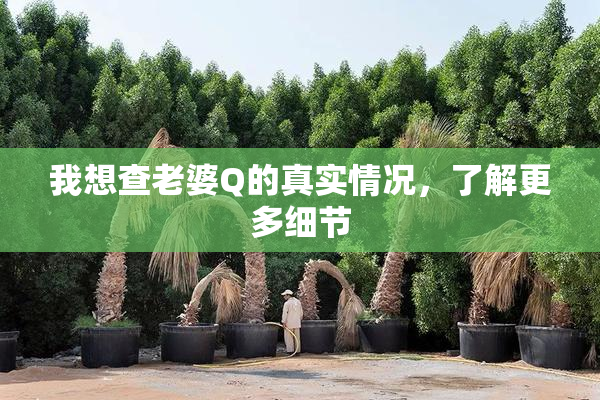 我想查老婆Q的真实情况，了解更多细节
