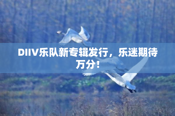 DIIV乐队新专辑发行，乐迷期待万分！