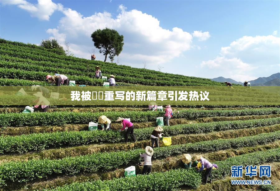 我被妺妺重写的新篇章引发热议